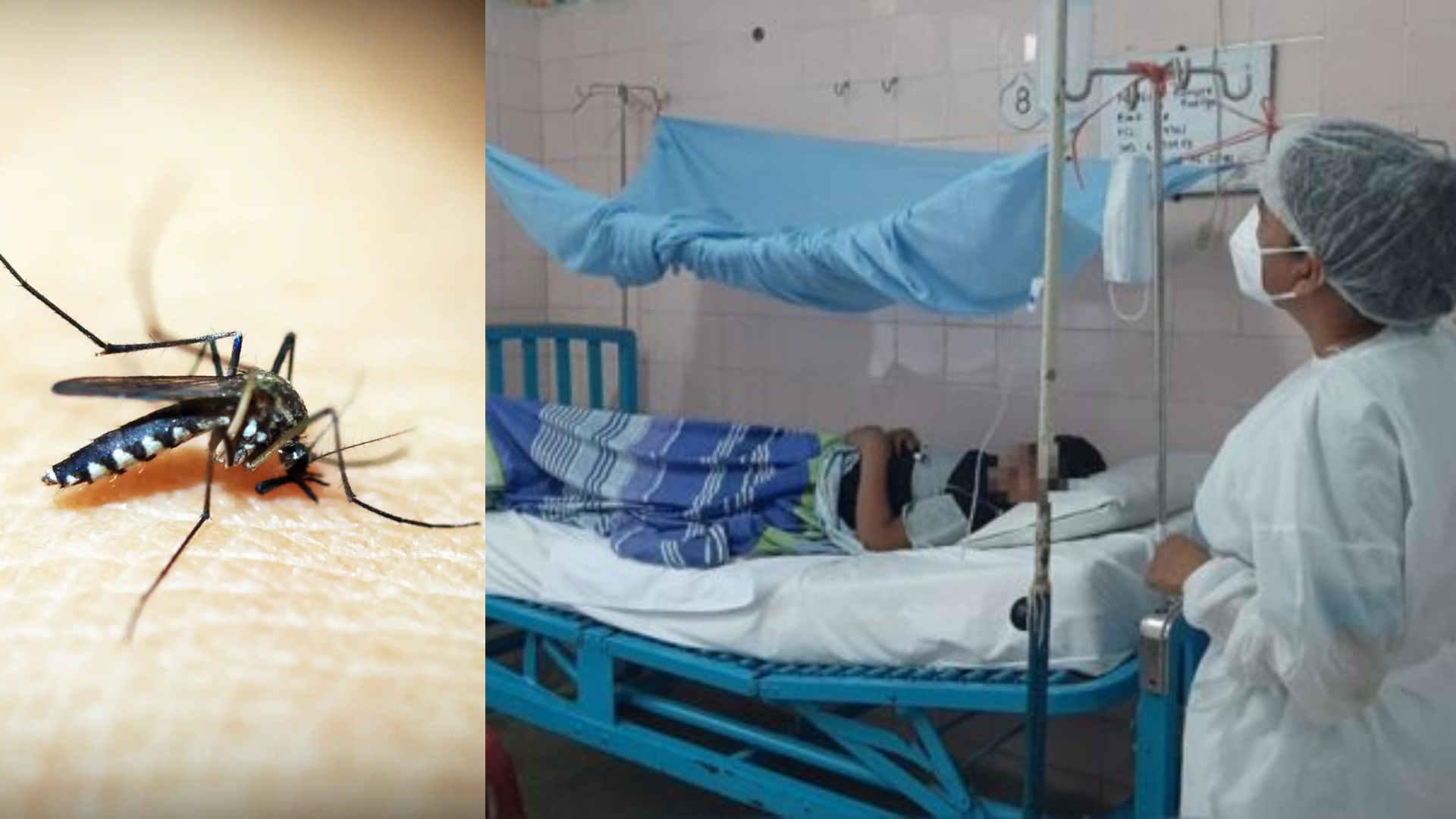 Piura confirma primer fallecido por dengue
