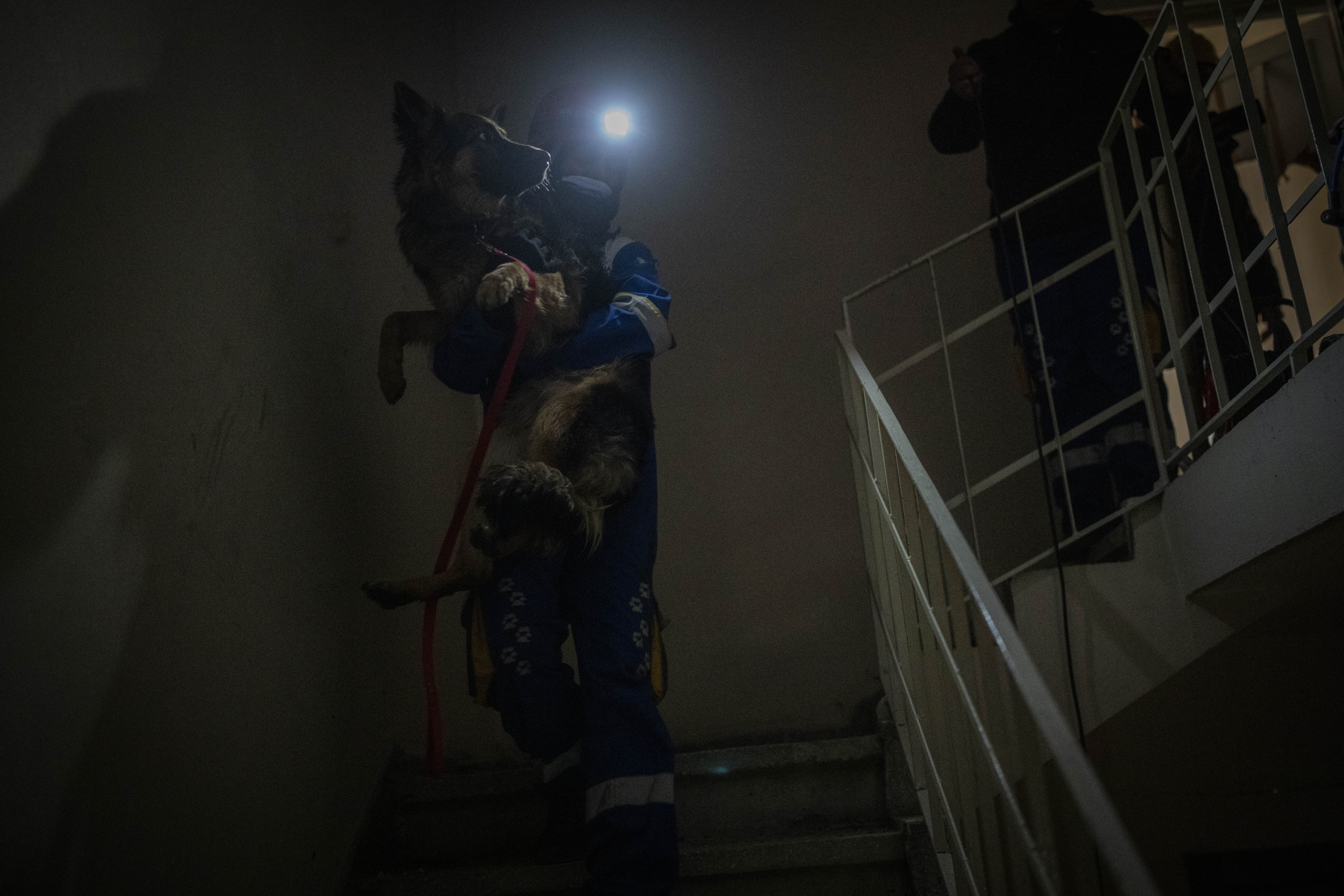 Miembros del grupo turco de protección animal HAYTAP rescatan a un perro en Antioquía, en el sureste de Turquía, el domingo 12 de febrero de 2023. El pastor alemán fue rescatado tras pasar siete días en un edificio afectado por un terremoto. (AP Foto/Bernat Armangué)