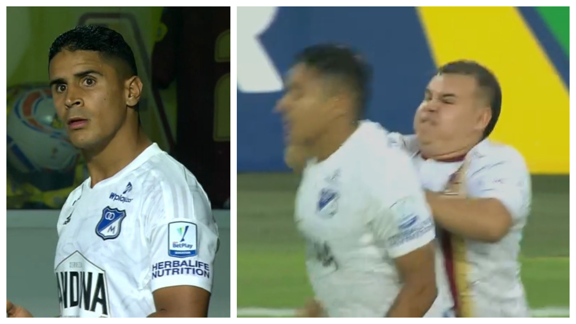 Cataño fue agredido por un hincha del Tolima en partido válido por la fecha 4 del FPC y Wilmar roldán decidió suspender el partido