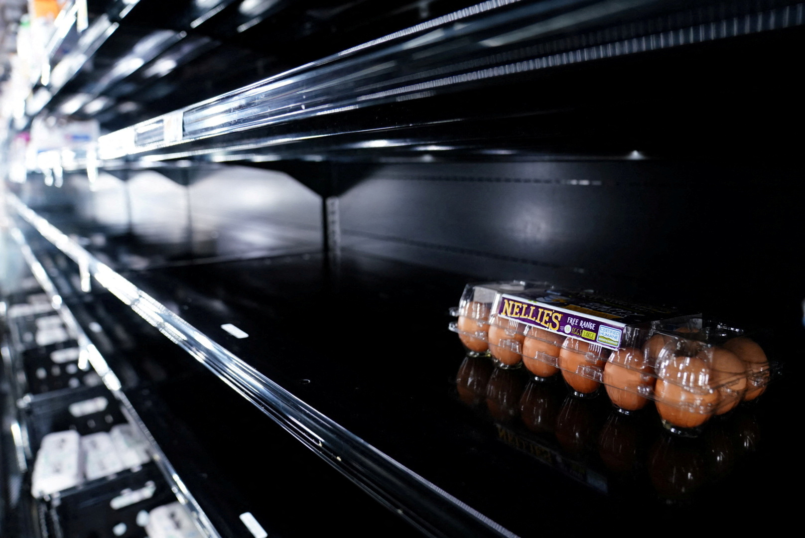 La escasez de huevos ha llevado a un brutal aumento de precios (REUTERS/Sarah Silbiger)