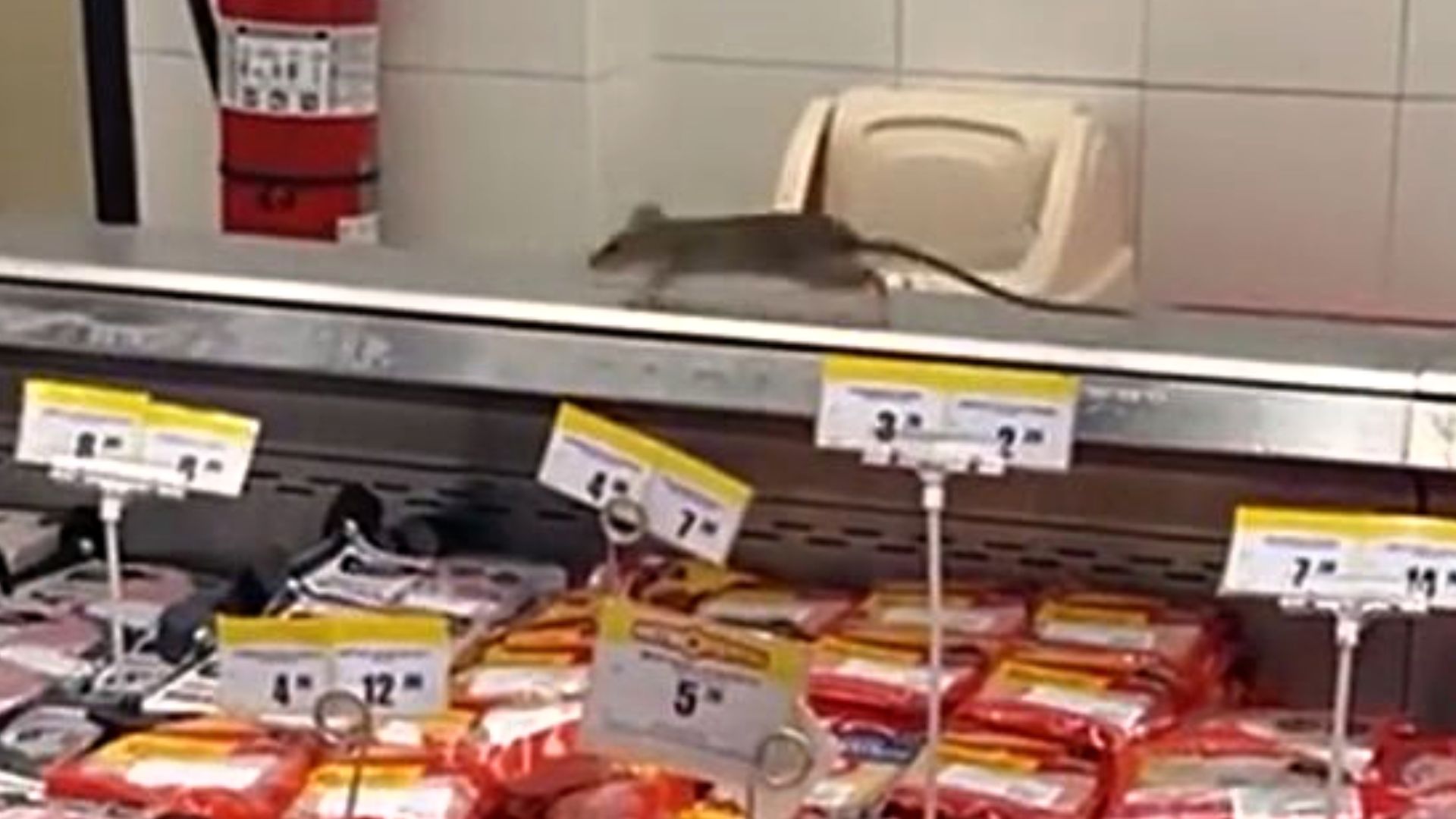 Los roedores se encontraban sobre la zona de embutidos del conocido supermercado. Hasta el momento no existe pronunciamiento oficial de la empresa. (Captura)