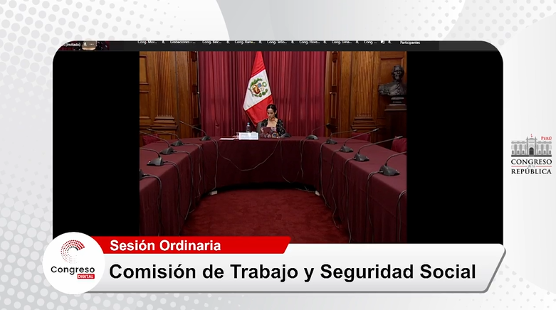 Lamentable frase de un congresista en la sesión de este martes de la Comisión de Trabajo y Seguridad Social. | Captura