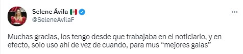 La diputada morenista respondió a los que señalaron que acudió al INE con unos tacones de casi 30 mil pesos (Twitter/@SeleneAvilaF)