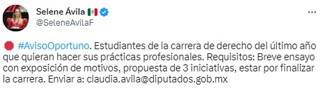 Los requisitos que solicitó la diputada no fueron bien vistos por usuarios de Twitter (Twitter/@SeleneAvilaF)