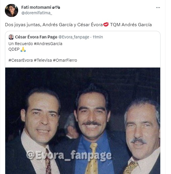 Fanáticos peruanos despiden a Andrés García. (Twitter)