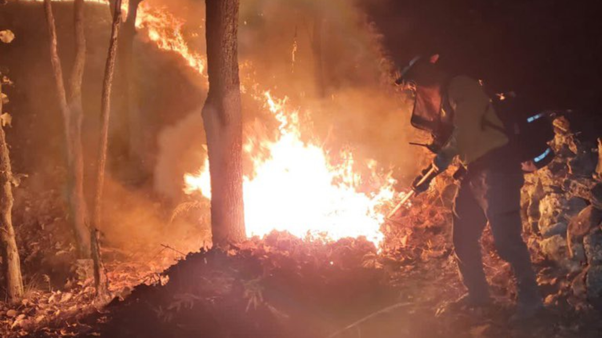 Dos combatientes resultaron heridos durante el incendio. (Twitter/@SemadetJal)