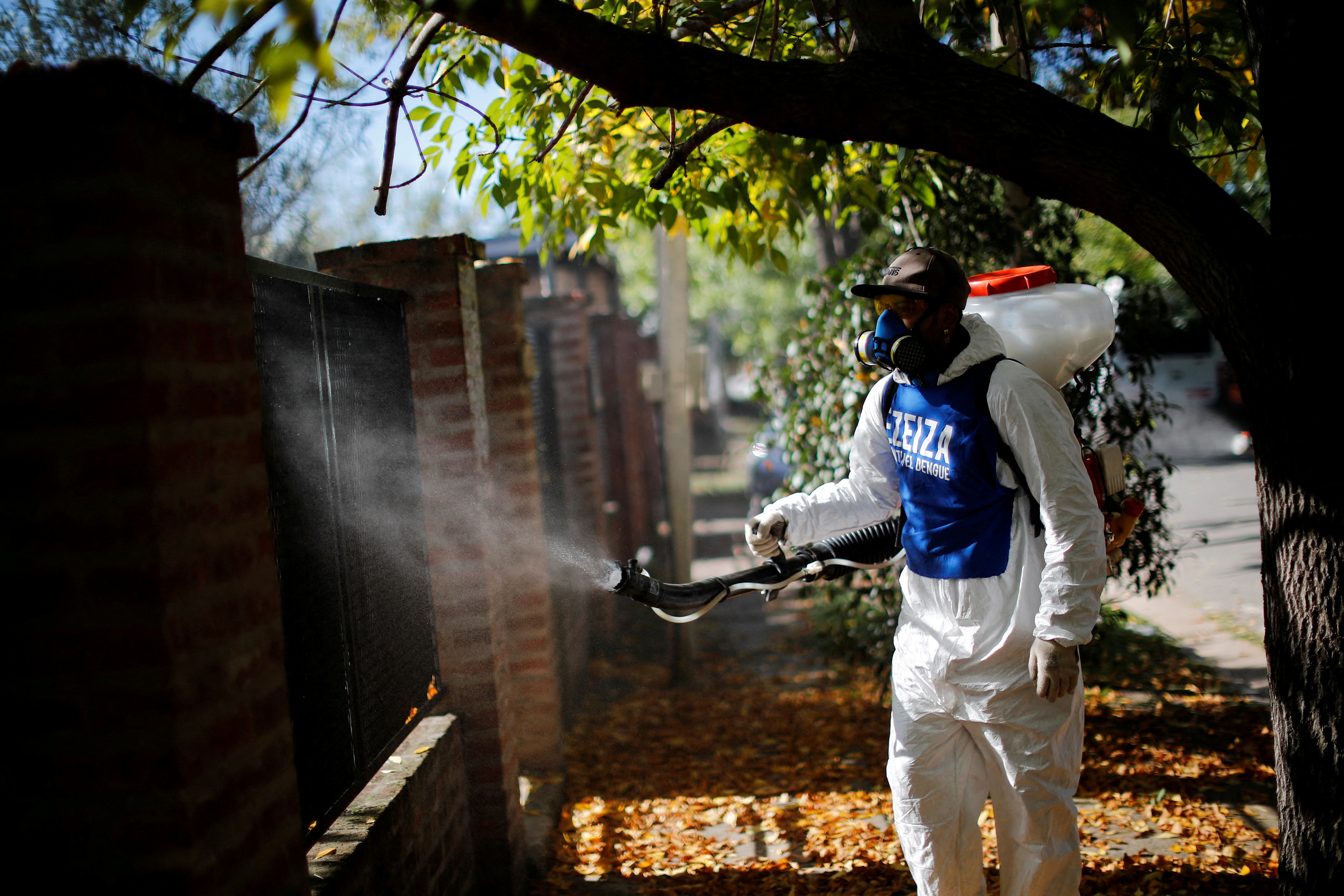 El contagio del dengue solo se produce por la picadura de los mosquitos infectados. No se produce entre personas (REUTERS/Agustin Marcarian/File Photo)