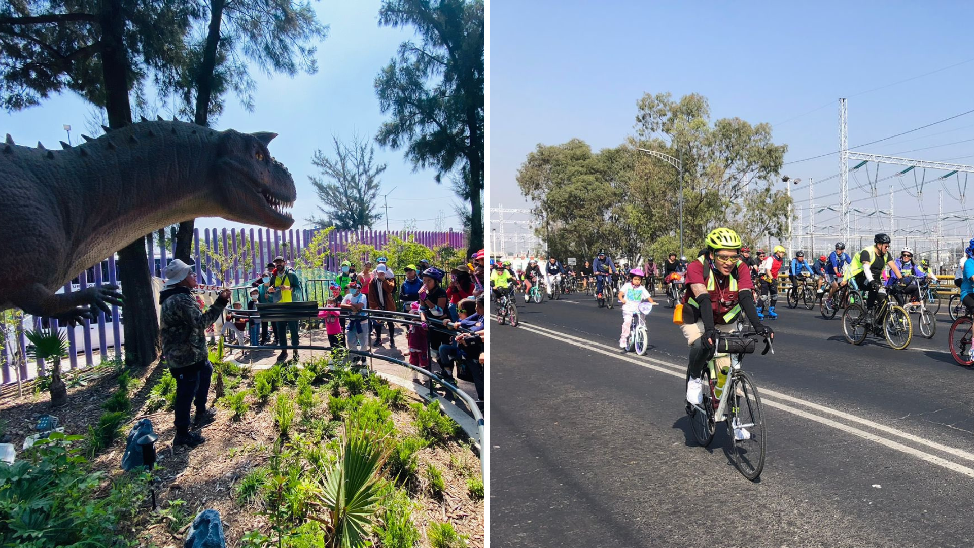 (Foto: Ciclismo en la Ciudad de México /@Ciclismo_CDMX)