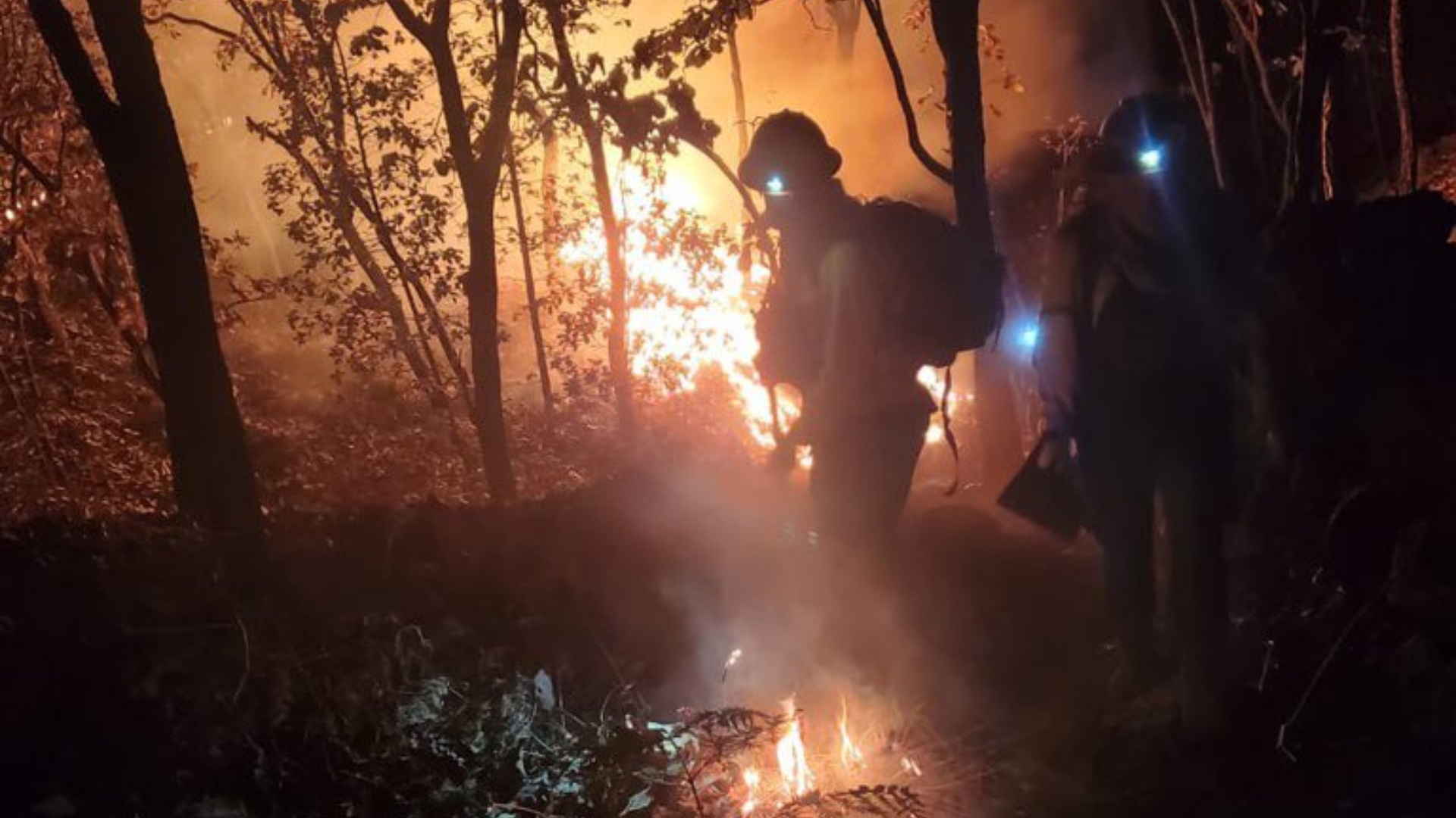 Elementos de los tres órdenes de gobierno de Jalisco colaboraron para combatir el fuego. (Twitter/@SemadetJal)