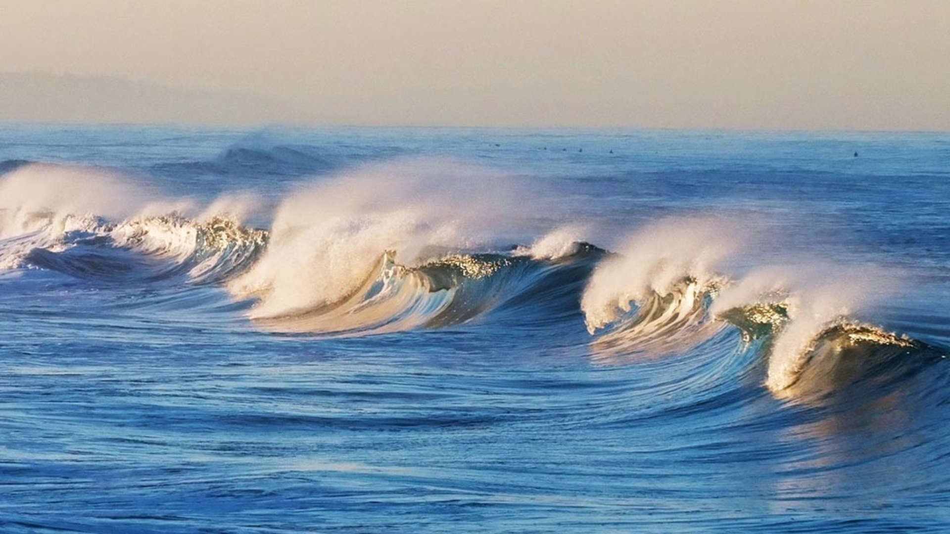 Las olas de calor marinas aumentarían por los fenómenos climatológicos.
Foto: Nobbot