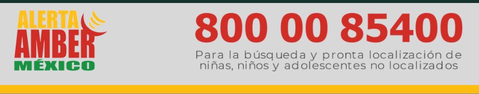 Además de mujeres adultas en Querétaro desaparecieron 9 menores de edad este año (Gobierno de México)