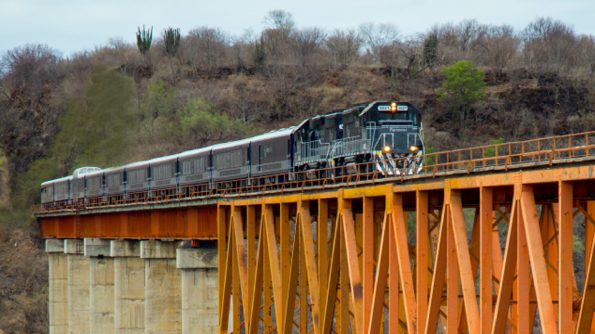 El presidente López Obrador publicó un decreto con el que declaró de utilidad pública tres tramos de vías propiedad de Ferrosur. (GrupoMéxico)