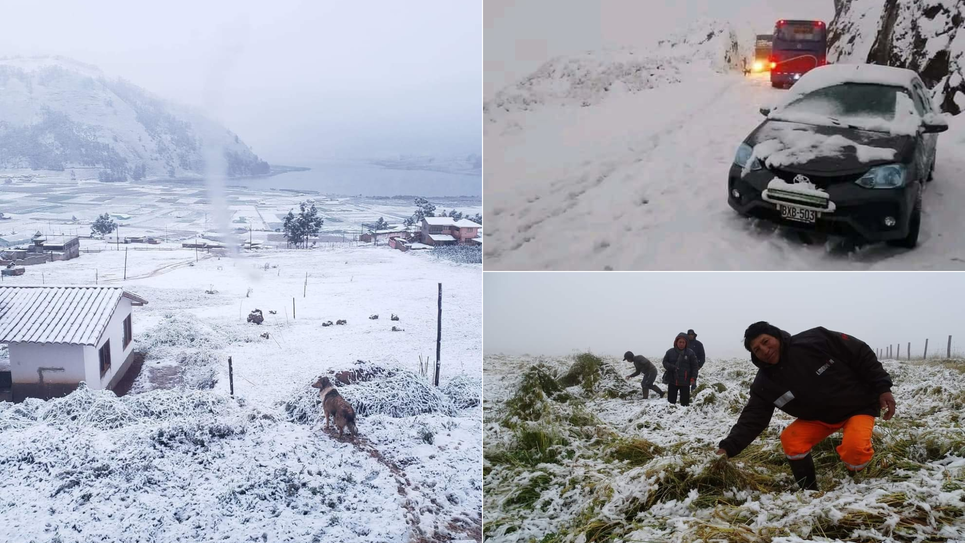 Cusco amanece cubierto de nieve y con bajas temperaturas tras fuerte temporal que se prolongó por más de 12 horas